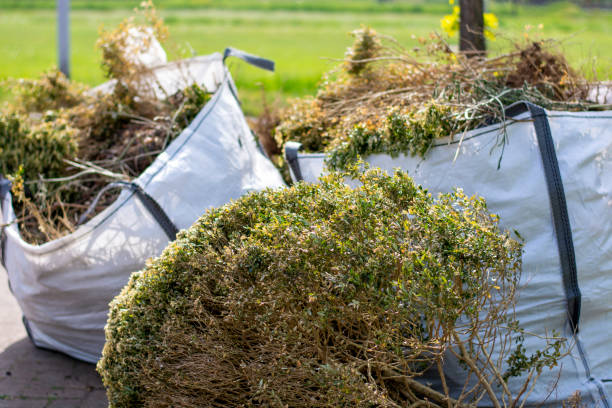 Best Hoarding Cleanup  in Parkland, WA